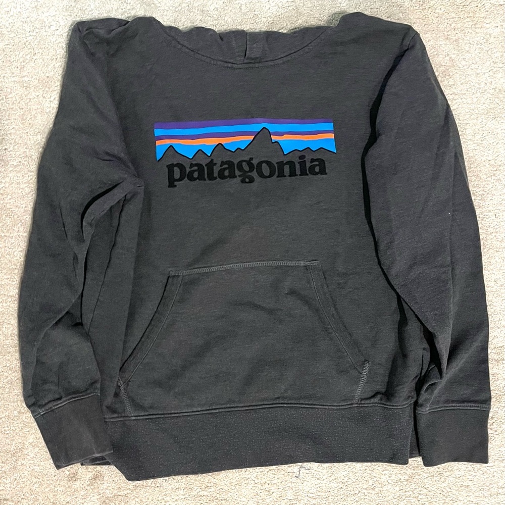 Patagonia hoodie
